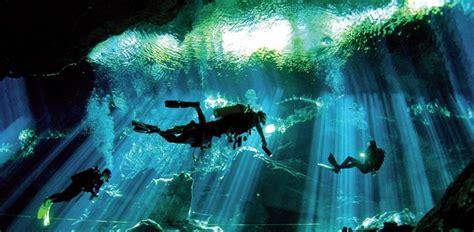 Discover the Untouched Beauty: Snorkeling Adventure in the Paradise Cenotes